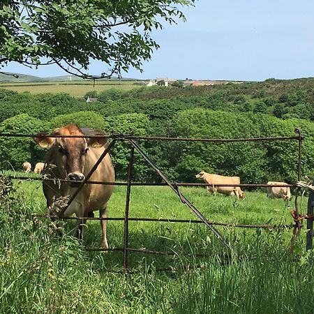 Trengothal Barn Lägenhet Porthcurno Exteriör bild