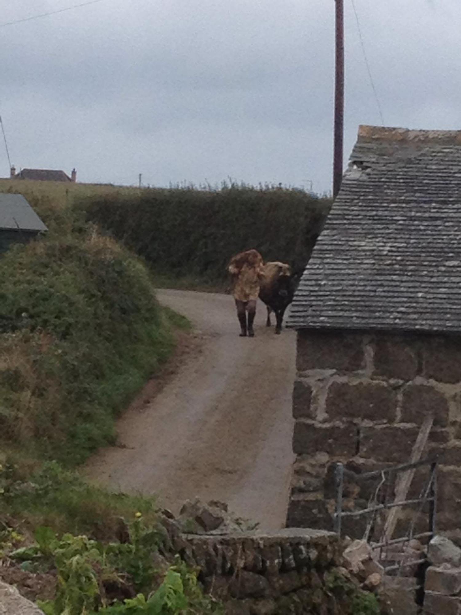 Trengothal Barn Lägenhet Porthcurno Exteriör bild