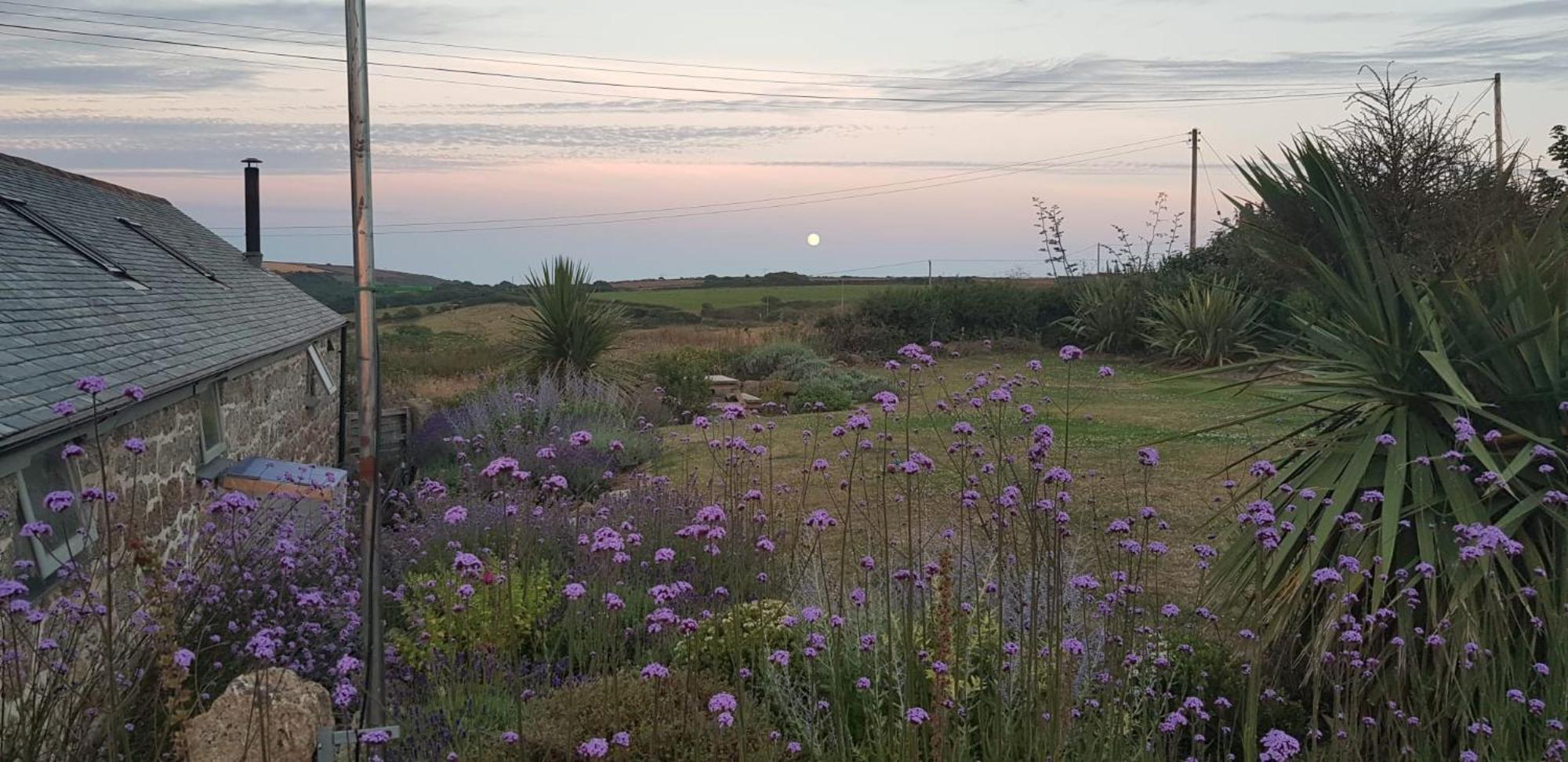Trengothal Barn Lägenhet Porthcurno Exteriör bild