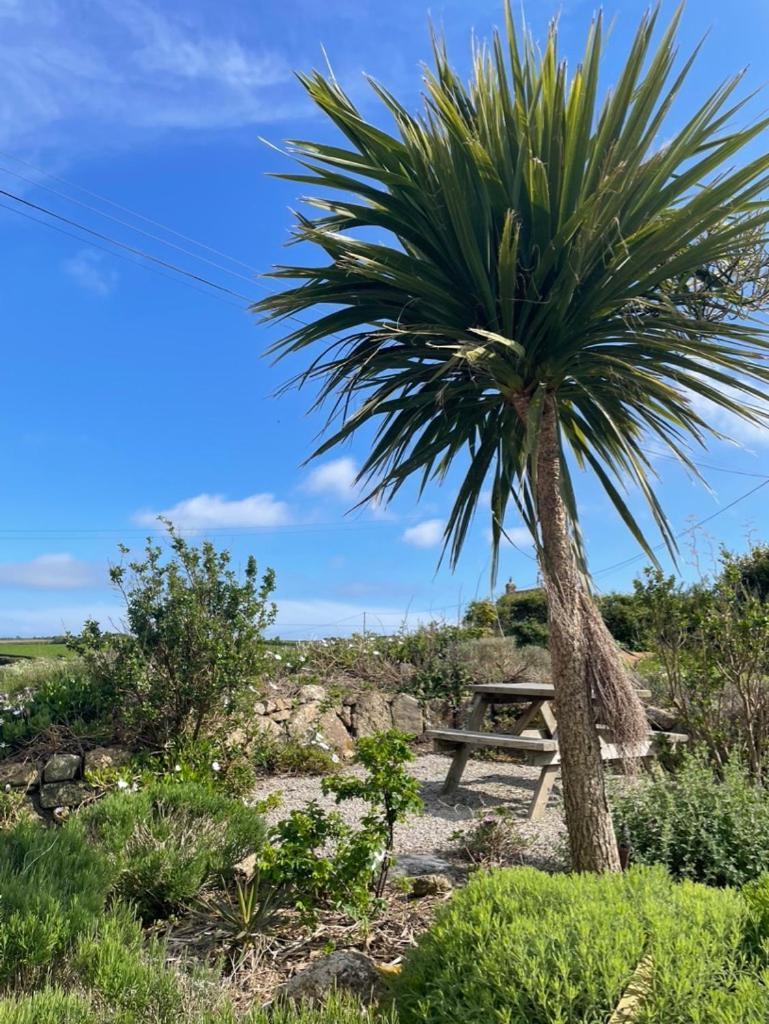 Trengothal Barn Lägenhet Porthcurno Exteriör bild